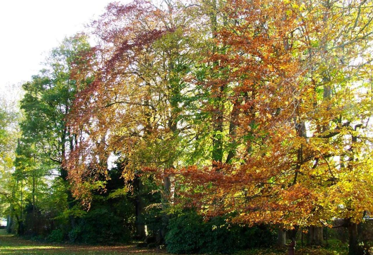 Maison Charmante A Ryes Avec Jardin Clos Et Acces Pmr エクステリア 写真